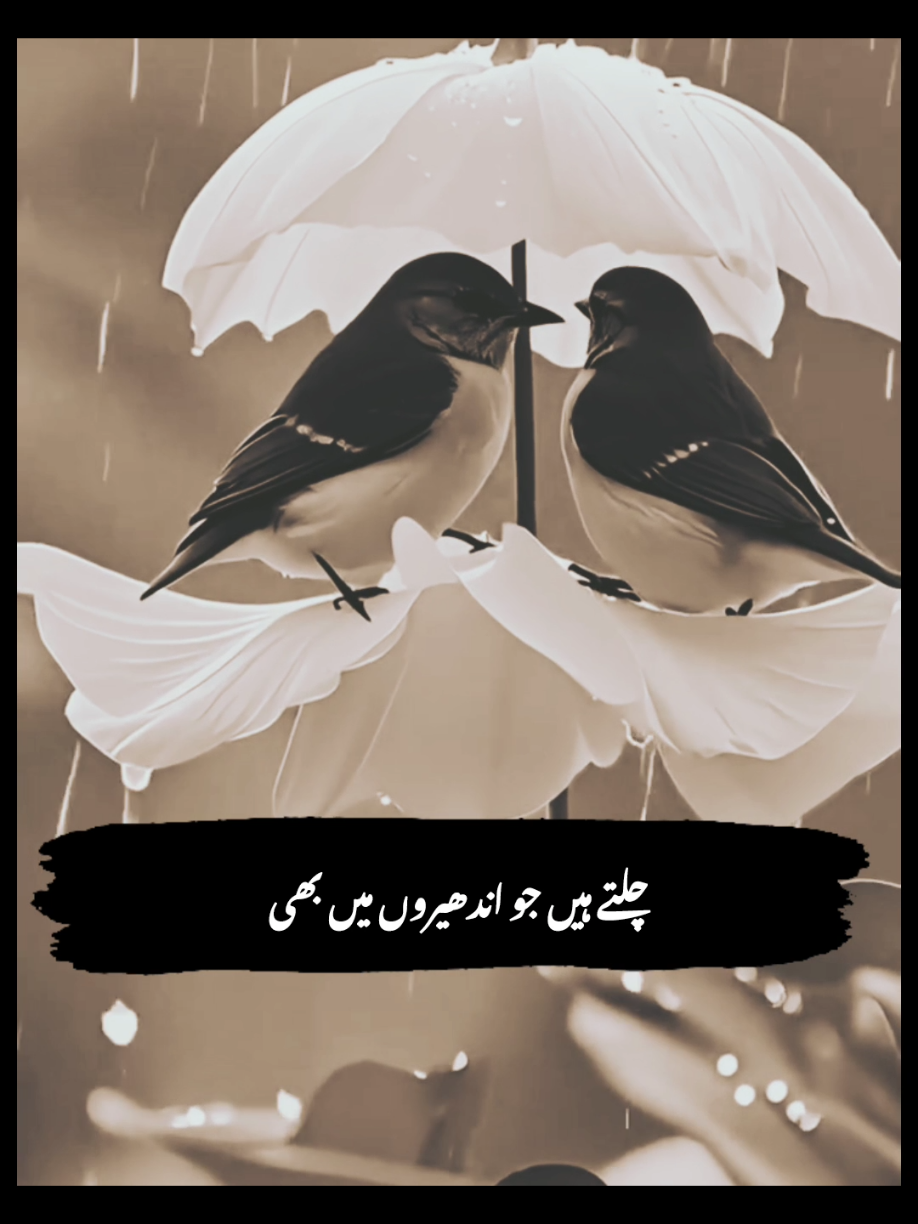 𝗥𝗲𝗽𝗼𝘀𝘁𝗲𝗱 𝗠𝘆 𝘃𝗶𝗱𝗲𝗼 𝗳𝗿𝗶𝗲𝗻𝗱𝘀💞+𝘃𝗶𝗲𝘄𝘀 𝗽𝗿𝗼𝗯𝗹𝗲𝗺😕#newaccount #unfreez #tiktokpakistan #Hadiqaeditx #songaesthetic 