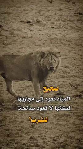 صحيح المياه 👌✋ #مساء_الخير #عبارات #اكسبلور 