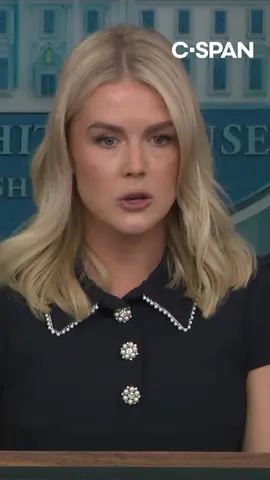 White House Press Secretary Karoline Leavitt told reporters that President Trump's 