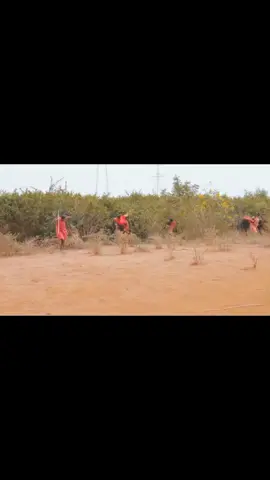 #duet with @Life La Maasai #saudiarabia 