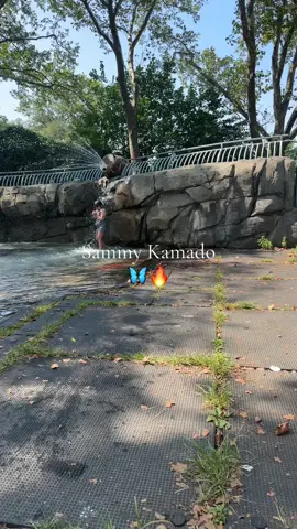 El pilar de la cascada de jejej #demonslayer 