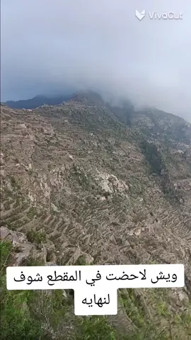 #اتحدا الي يعرف ويش في المقطع شاهد لنهايه وبتعرف