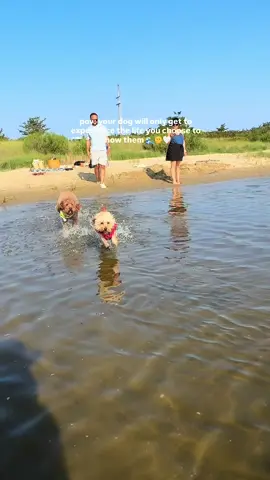 Crossing off dog beach off of our summer bucket list 📝🩵🥹 dog friendly beaches >>> #dogmomlife #dogmom #dogmomsoftiktok #nj #njbeaches 