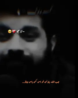 love -ali 🖤 #foryoupage #islamic_video #trendingvideo #foryouislamiczone164