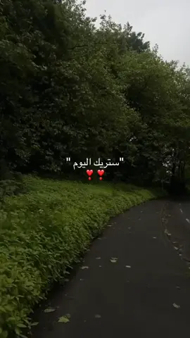 سبحان العضيم واتوب إليه 🤍#اجر #quran #قران #قران_كريم #الحمدالله_علی_کل_حال❤ #اجر_لي_ولكم_ولوالدينا_وللمسلمين #explore 