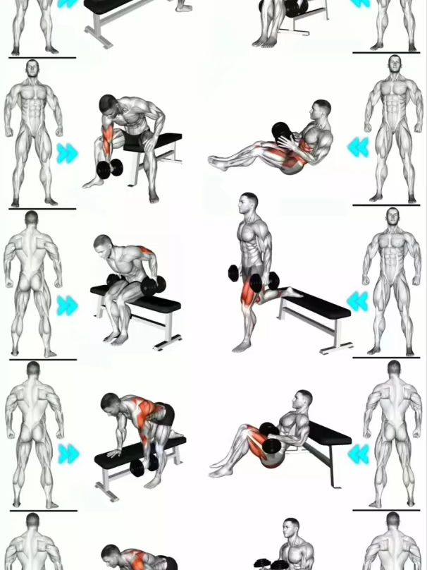 Full Body Exercises 🔥 #GymTok #muscle #exercise #Fitness #workout #workoutroutine #workouttips #fit #fitnesstips