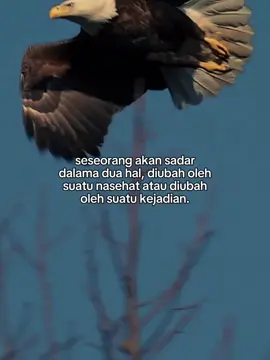 BERUBAH