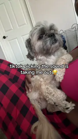 she’s just a chill pup 😂