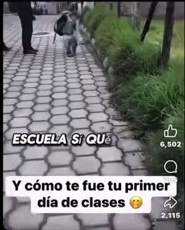 Se hizo de todo #primerdiadeclases #foryourpage #jajajajaja #hacabron😂 #funnyvideos 