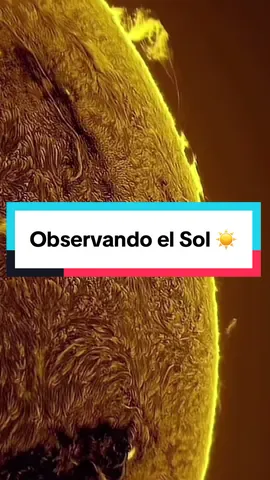 Observando el Sol ☀️ con un Telescopio 🔭 LUNT APO todoterreno LS130MT/B1200R&P para el sol #fypシ゚viral🖤tiktok #fypシ゚ #sun #jalisco❤️🇲🇽🥰😍 #panama🇵🇦 