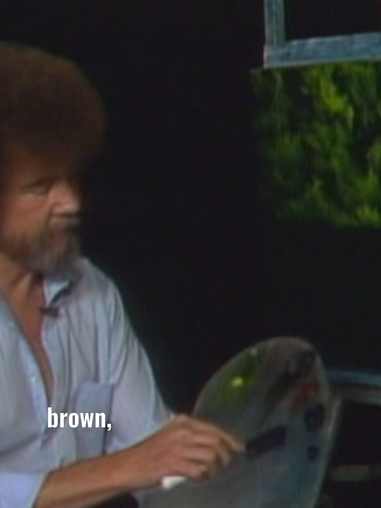 Bob Ross shows you how to paint foliage into your swamp scene, and even create reflections in the swampy water. How do you add details of realism to your paintings? #paintlikebobross #paintingtutorial #quoteoftheday