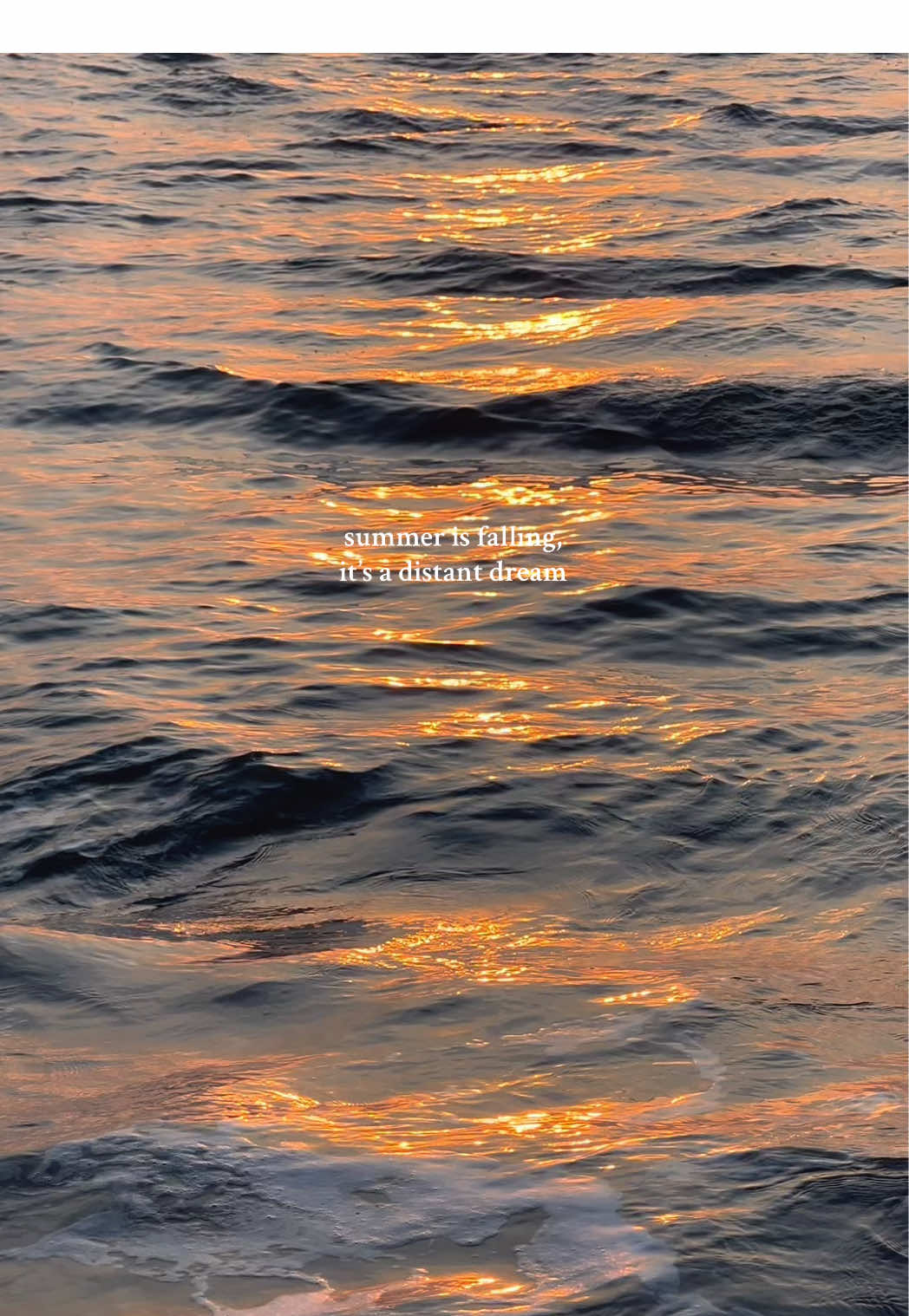 sad because we’re in august aka the sunday of summer ❤️‍🩹 #eastcoastsummer #summertime #Lifestyle #beach #summeractivities #fall #endofsummer #sunset #beachsunset 