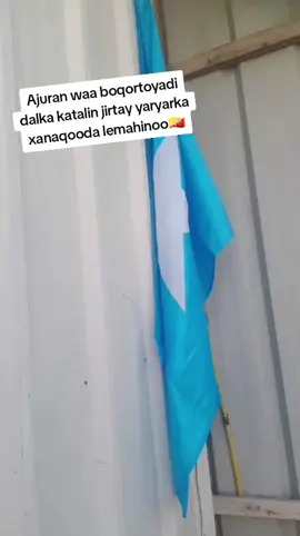 #ajuranempire❤💛🗨 