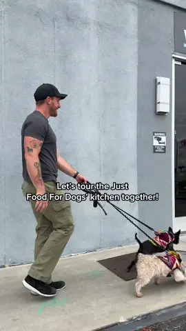 👨‍🍳 Ever seen your dog’s food cooked like gourmet meals? I have – and now I’m hooked! Get 50% off your first order and see the magic happen!