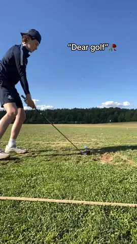 Like this please #golf #dearbasketball #like 