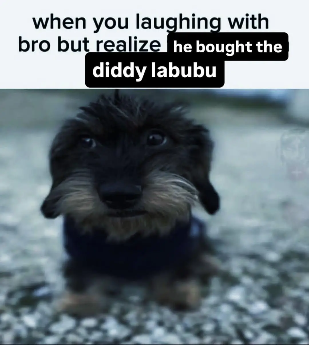 this is my worst fear😮😮😮😮😮😮😮‼️‼️‼️‼️‼️‼️ #labubu #scary #fyp 