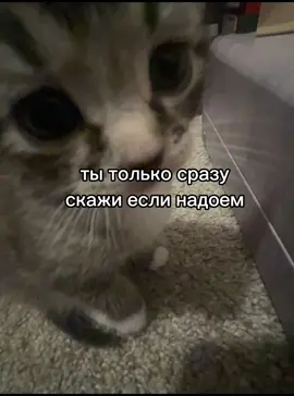 #щп #щпгрустные #моральноесостояние #навязчивость #хочуврекомендации 