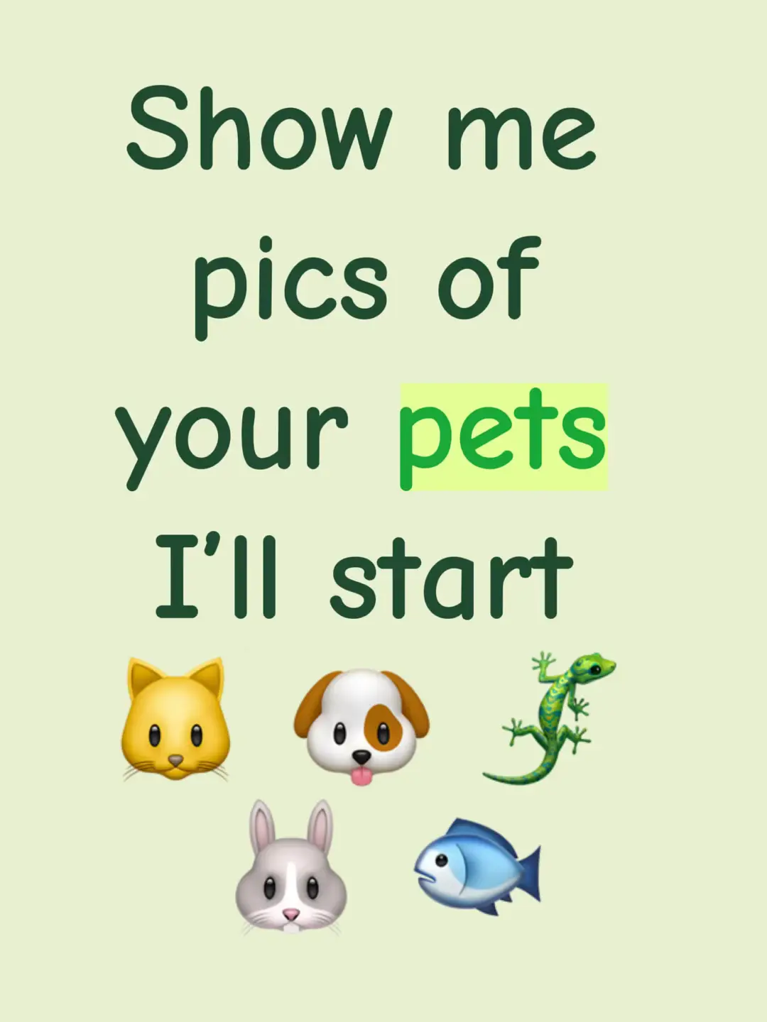 #pets #pettok #dog #cat #animals