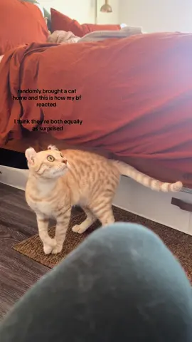 surprise surpriiisseee  