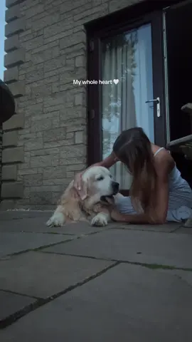 14 years and counting loving you everyday🥺 Got me through my teens and helping me survive my 20’s  #goldenretriever #twenties #bestfriend 