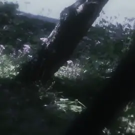 Joy..? | Радость..?  #ambient #dreamcore #dreamscape #slowcore #aesthetic 