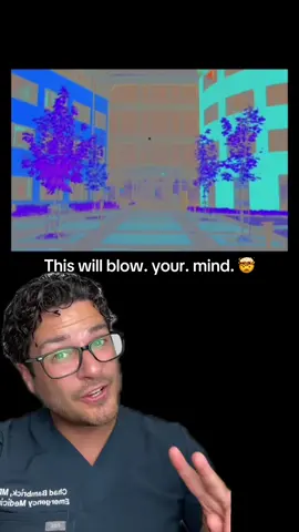When you stare at inverted (negative) colors for a while, the color-sensitive cells in your eyes—called cone cells—get fatigued. For example, staring at bright blue tires out your “blue” cones, so when the image switches to black and white, your brain fills in the missing blue with its opposite color from the visual spectrum. The result? A vivid, full-color scene your mind swears is real—until it fades back to grayscale. It’s like your brain’s own Photoshop filter… but powered entirely by biology. 👁✨ #VisualIllusions #Neuroscience #AfterimageEffect #OpticalIllusion #ScienceIsCool 