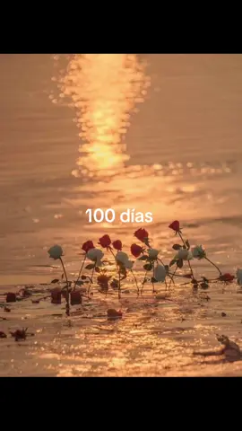 ✨ júrame ✨ les gustaría un podcast relacionado con los boleros? #amor #canción #boleros #música 