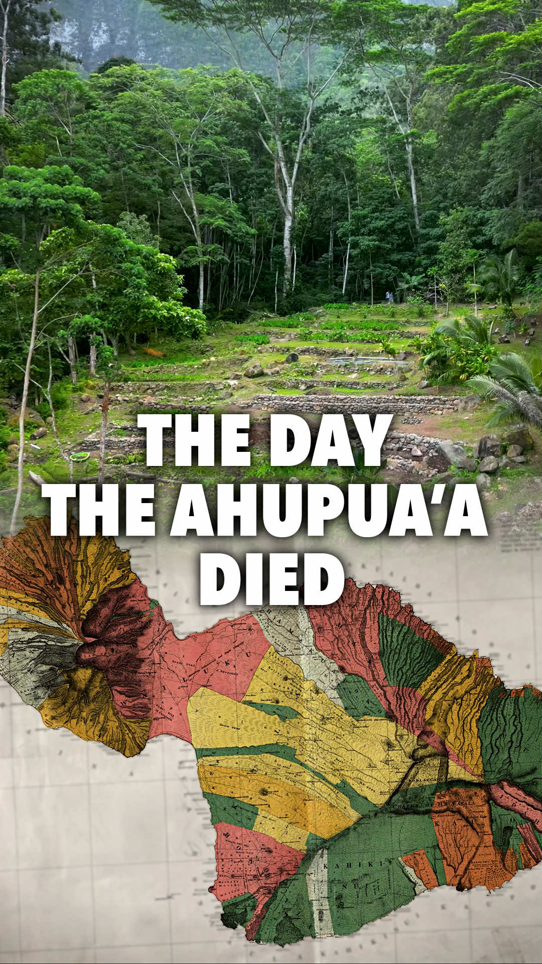 Permaculture instructor Andrew Millison visits an epic restoration of the Hawaiian Ahupua'a, the traditional watershed-scale food system of the Hawaiian people. ▶▶▶DONATE TO THIS PROJECT: www.nationofhawaii.org/am-ahupuaa/ Hawaii once fed itself through the Ahupuaʻa — an advanced system connecting mountain to sea. After the overthrow of the Hawaiian Kingdom and the Great Māhele, this system nearly vanished as lands were privatized and natives displaced. Today, the movement to reclaim and restore it is alive again. Watch the full video on Andrew’s YouTube channel, and if you want to get notified when more videos come out, hit the subscribe button. #Permaculture #Sustainability #Ahupuaa #Hawaii #LandRestoration