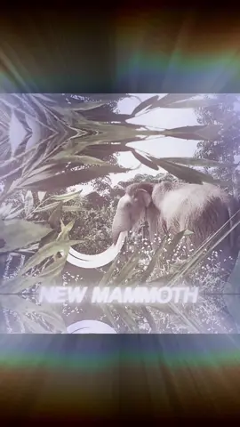 NEW UPCOMING ECOS UPDATE THIS FRIDAY 🫣(mammoth not included I believe) #ecoslabrea #ecoslabrearoblox #ecoslabrearobloxgame #ecoslabreawesternhorse #mammoth 