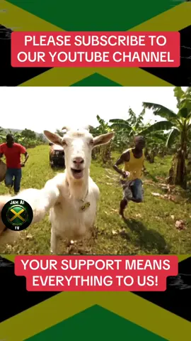 #jamaican Comedy - Jamaican Memes #fyp #jamaicancomedy #jamaicanmovie #ai                 