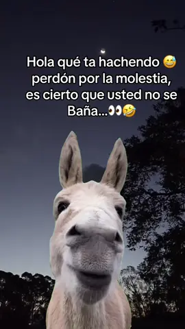 #MemeCut #Meme #MemeCut 