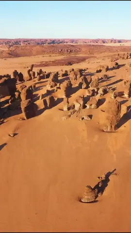 Epic adventure starts where the road ends — in the heart of the Sahara. 🏜️🔥 Imagine this: 🏕️ Sleeping in a luxury desert camp under a sky full of stars 🐪 Riding camels through otherworldly landscapes 🔥 Sharing tea with locals around a fire 🎶 Dancing to Tuareg rhythms until the silence of the dunes takes over 📍Safari Camp Algeria – Djanet is your gateway to one of the most authentic Sahara experiences. We organize 3 to 5-day all-inclusive trips, with: ✅ Round-trip flights from Algiers ✅ Desert hikes and 4x4 excursions ✅ Nights in our deluxe camp and traditional bivouacs ✅ Guided visits to hidden canyons, gueltas, rock art, and the magical site of Sefar This isn’t just a trip. It’s a return to something real. 📆 New departures from October to March – DM us or check out safarialgeria.com for the next adventure. 🌍🇩🇿✨ #Algeria #VoyageSahara #Djanet #desertsafari  #saharaadventure 