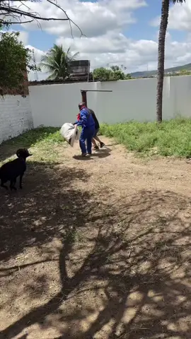 O mudo se deu mal