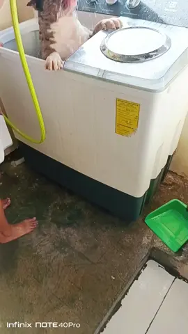 bañando a la princesa 😍