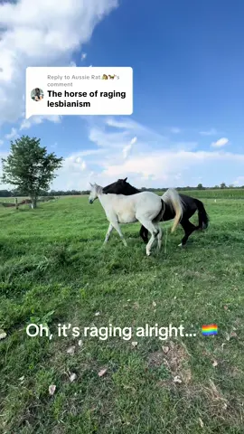 Replying to @Aussie Rat🐴🐎  HELP!!!! Lol. (Sent to barn manager, no advice needed pls and thank you! She did this for a second and is now back to normal 😎) #horsesoftiktok #horsetok #equestrian #horsegirl #fyp 