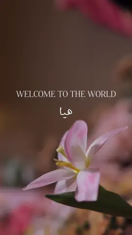🩷🩷 #foryoupage #fupシ #استقبال_مواليد 