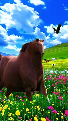 #CapCut #fyp #horses #viral_video #fy 