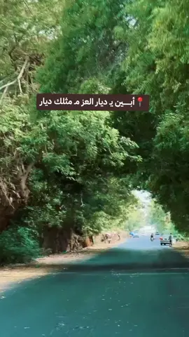 #بـدو_ابيـن_دثينـة_مـوديـة #ابين #ابين_موديه_دثينه #أبين #ابين_عصيه #أبين_تقود_ولاتنقاد✌ #fyp #fypシ #foryou 