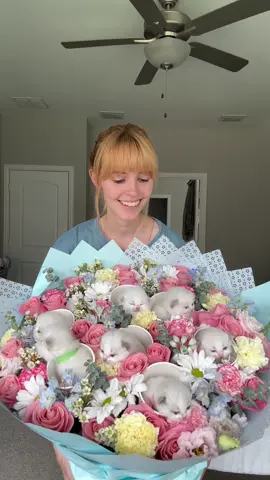 Summer wasn't sure what to think of the kitten bouquet 