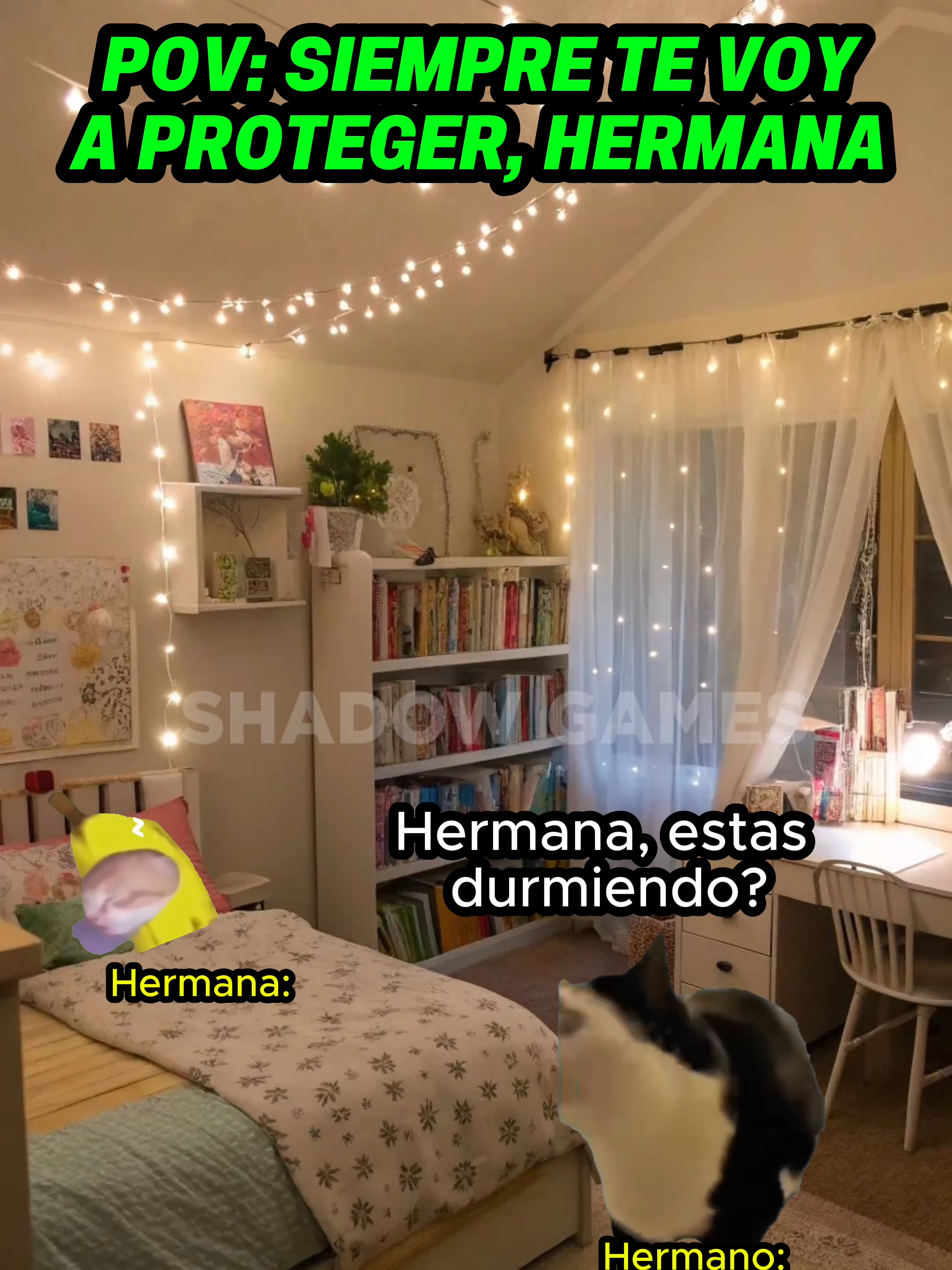 Siempre te voy a proteger hermana #gatitoslindos #storytime