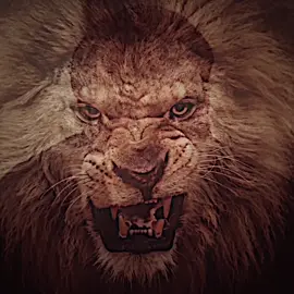 yamaç🦁🔥.#fyp #foryou #foryoupage #viral #cukur 