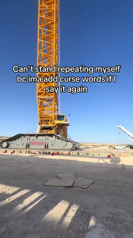 #fyp #trending #foryoupage #cranes #pov 