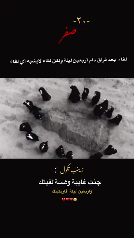 زينب دكول جنت غايبة وهسة لاقيتك واربعين ليلة فاركين😭💔#٢٠_صفر #زيارة_الأربعين #اكسبلورexplore #تصميم_فيديوهات🎶🎤🎬 #fyp 