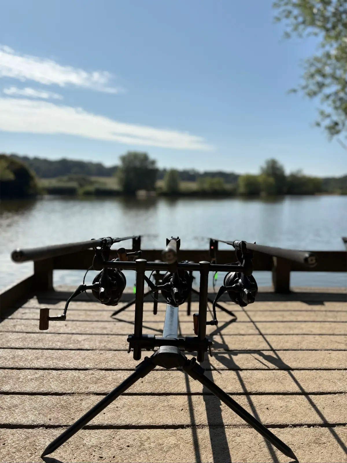 Some nice pics of the rods 🎣 #fishing #angler #carpfishing #fishinglife #carp 
