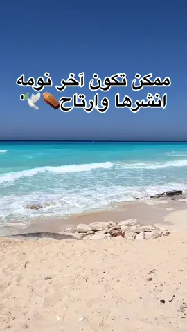 #الشعب_الصيني_ماله_حل😂😂 #fyppppppppppppppppppppppp #العاصمه_الاداريه_الجديده #ترند #مطروح_وهلها🔥💪😎 