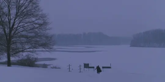 it’s just a little bit lonely in this home #deadpoetssocietyedit #edit #dps #deadpoetssociety #neilperry 