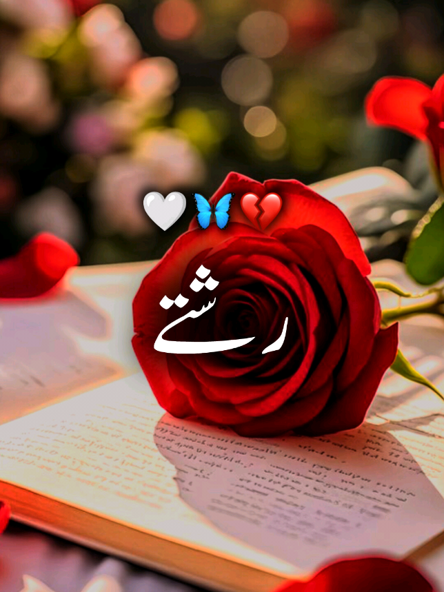 ❥͜͡𝐌𝐮𝐞𝐞𝐧⍟𝐖𝐫𝐢𝐭𝐞𝐫𝐬☙#furyou❥ #pfypシ #furyoupage #furyoupage #vairalvideo 