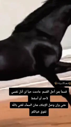 #فلسفة_العظماء🎩🖤 