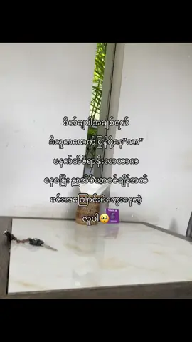 #fypシ゚ #fypvairal #xyzbca #foryoupage #tiktok 
