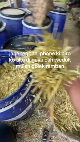#fypp #farm #masukfyp 